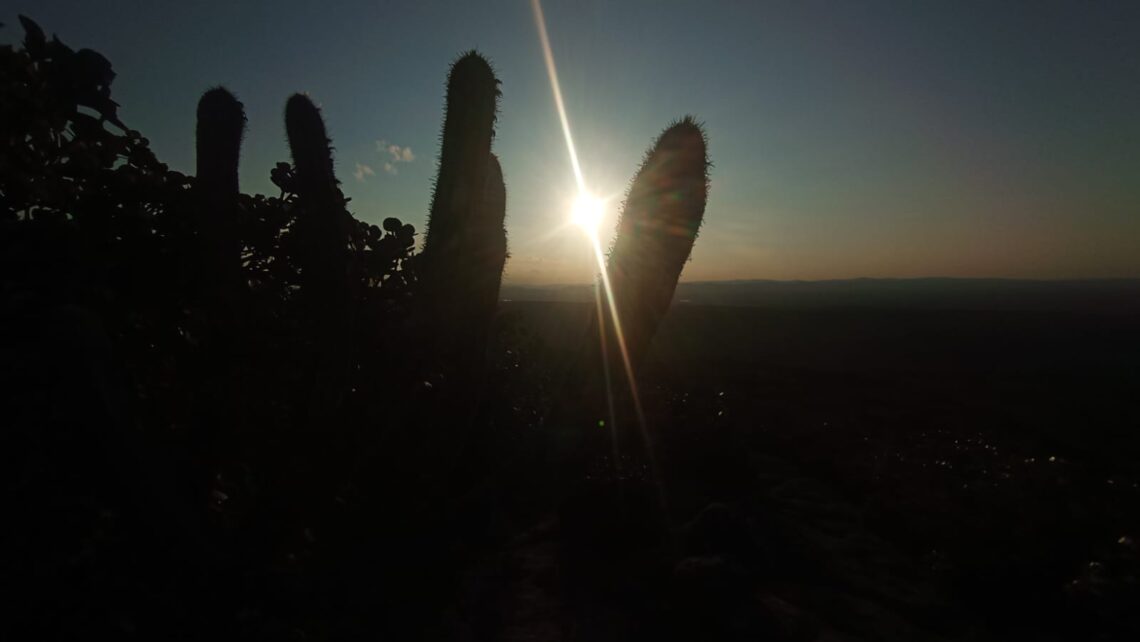 Foto da vegetação da Chapada Diamantina em primeiro plano com pôr do sol ao fundo