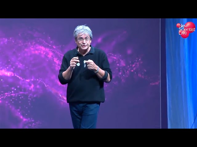 Carlo Roveli - Reprodução do YouTube